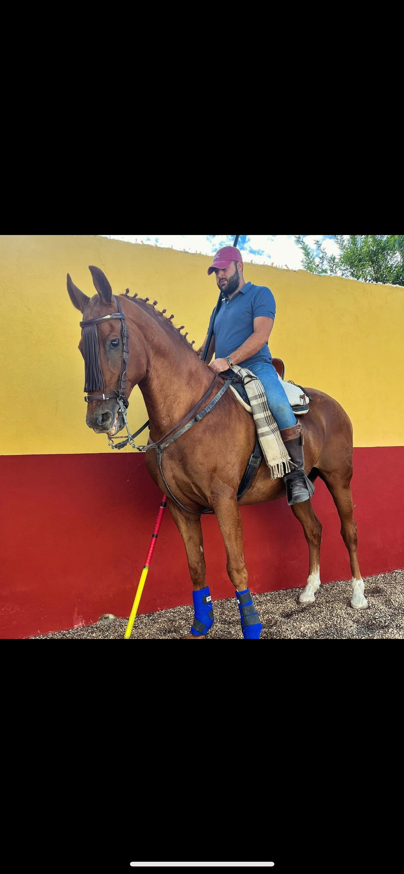 <em>Carlos Martínez</em>